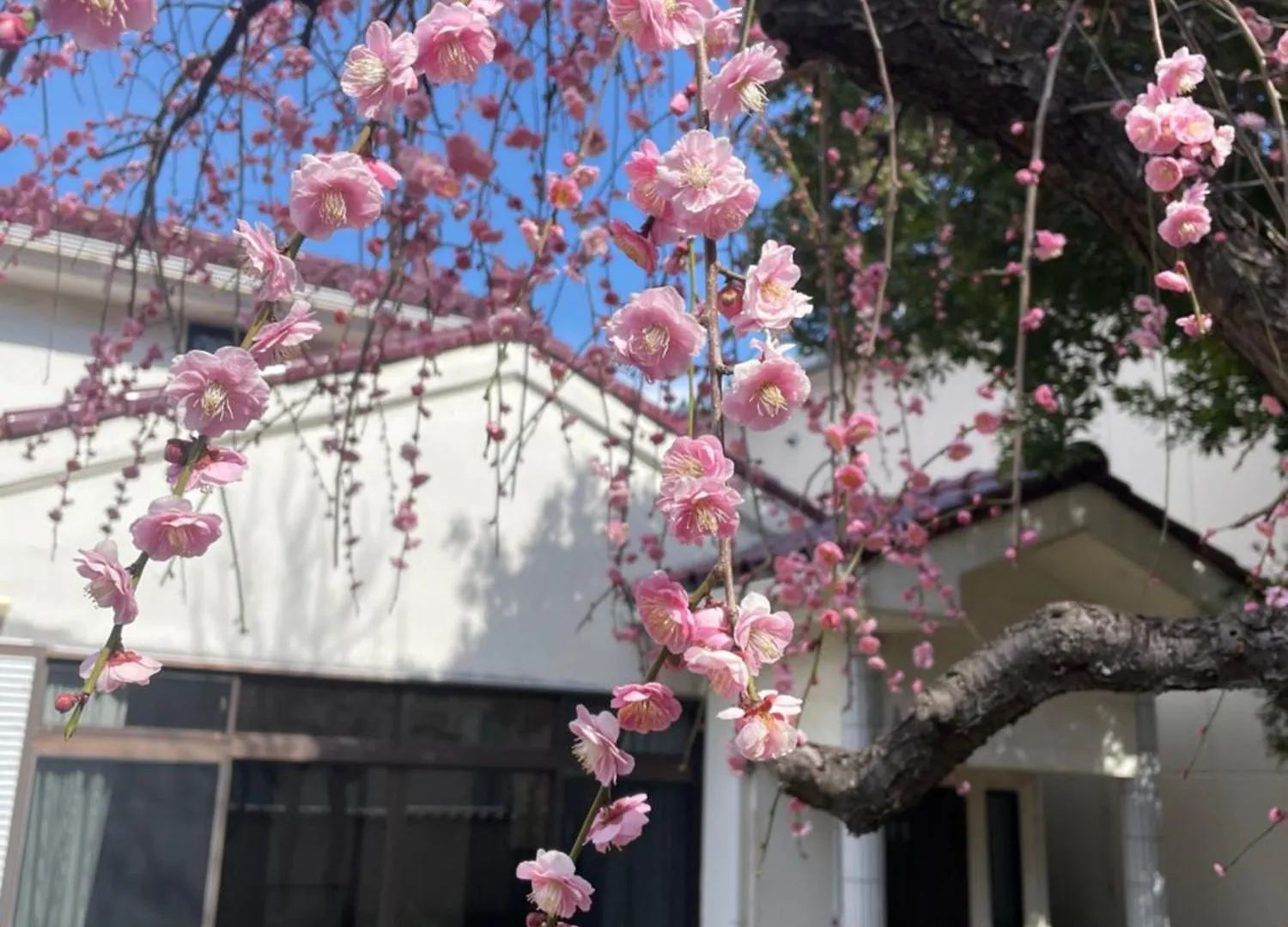 Villa Hiratsuka ツバメキタル-Vacation Stay 0*,  Japan