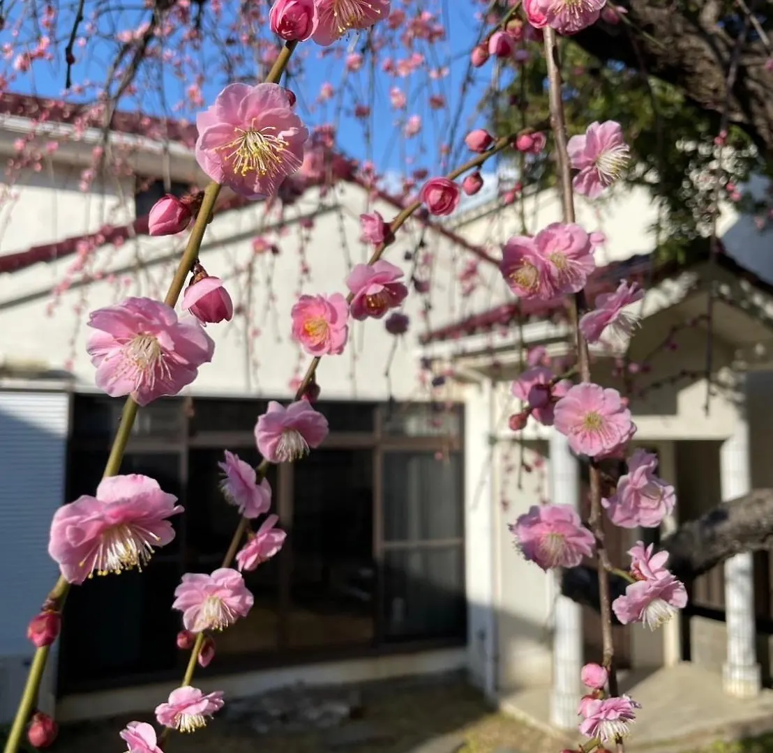Villa Hiratsuka ツバメキタル-Vacation Stay 日本